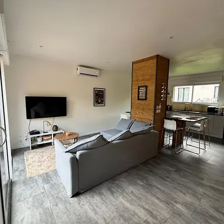 Duplex Le Red Cedar Avec Terrasse Et Jardin アパート ジェラールメ